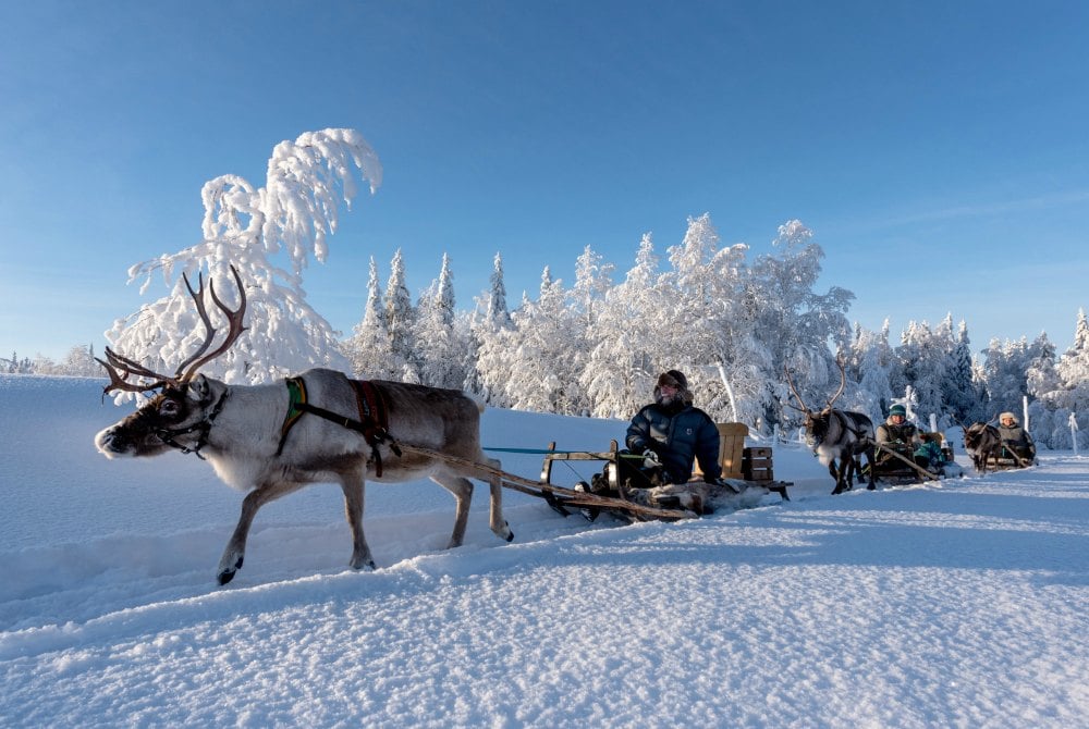 Wildnisdorf Solberget-Rentierschlittenfahrt  by Olaf Schneider