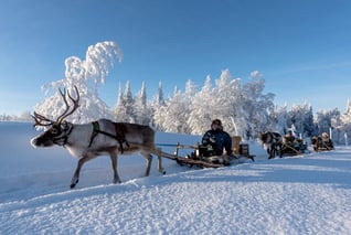 Wildnisdorf Solberget-Rentierschlittenfahrt2_copyright Olaf Schneider