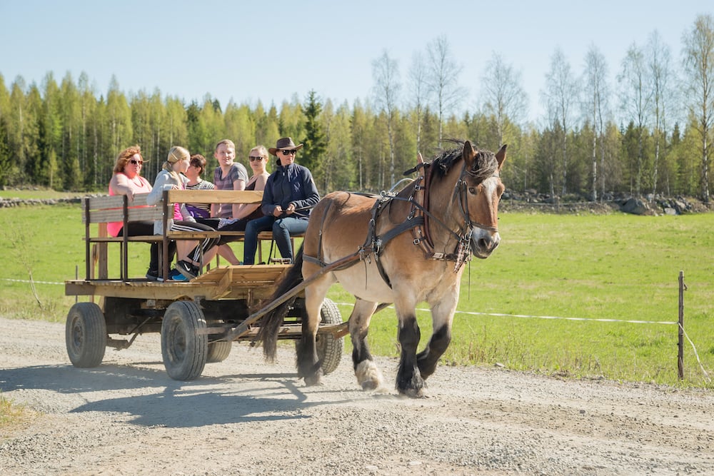 Tampere Luomajärvi Horse Kutschfahrt