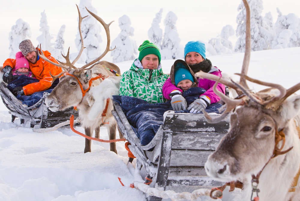 Rentiersafari in Pyhä