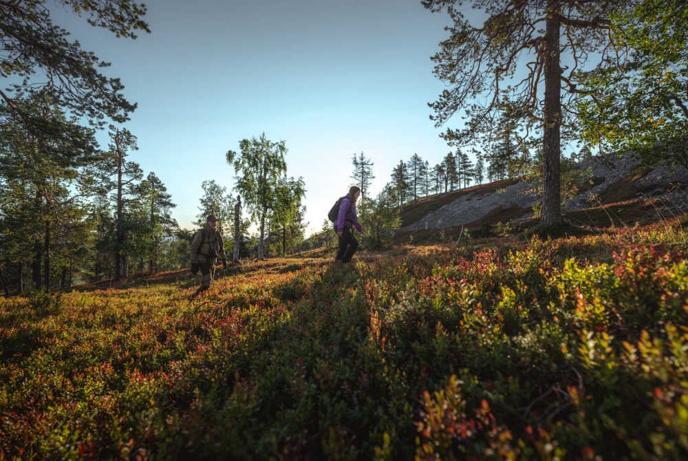 Naturerlebnisse in Pyhä-Luosto