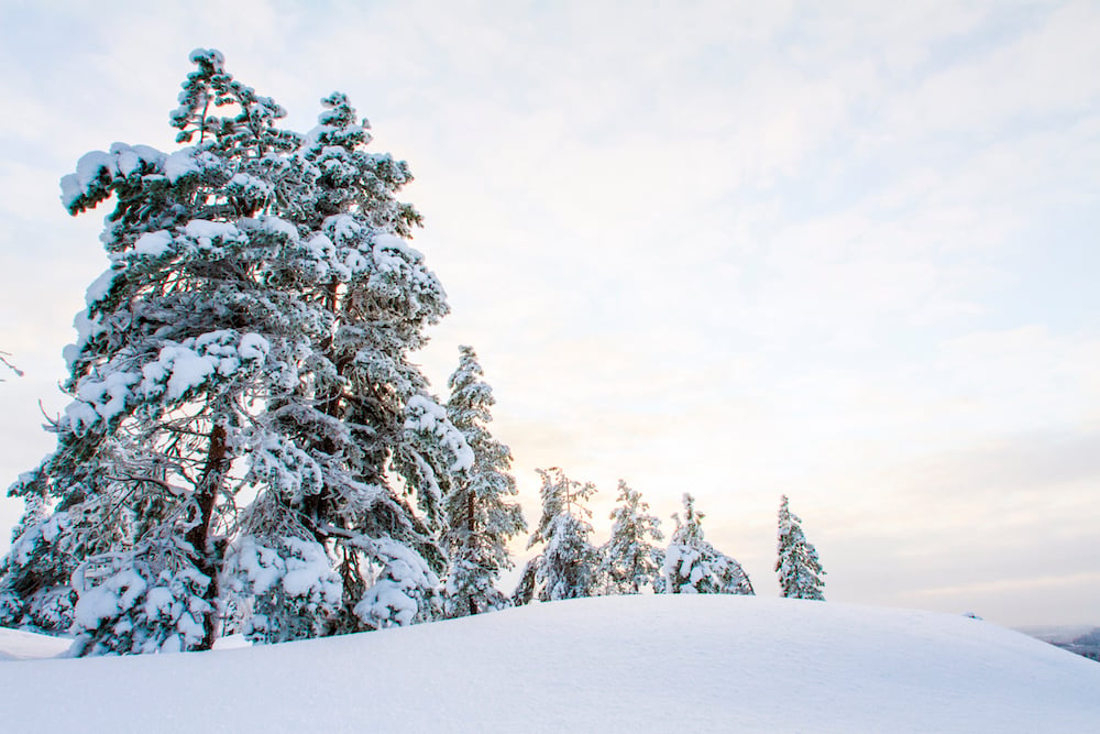 Vuokatti_Winter