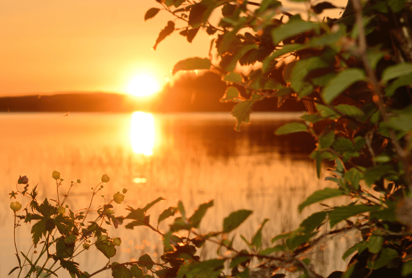 Image plus text 850x574px (1)