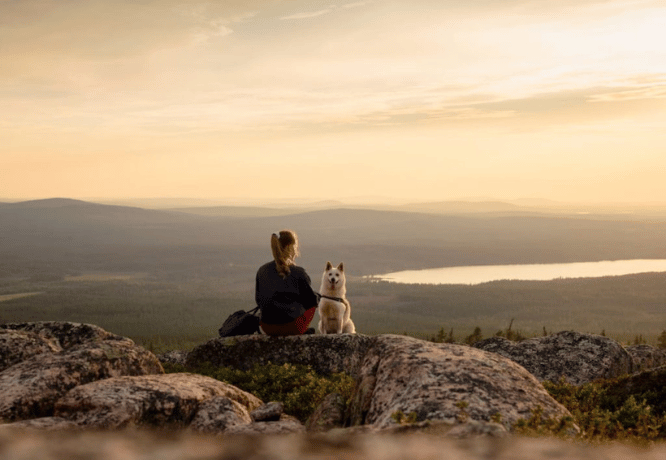 Nainen istuu vaaran päällä koira vieressään ja katsoo Lapin erämaamaisemaan. 