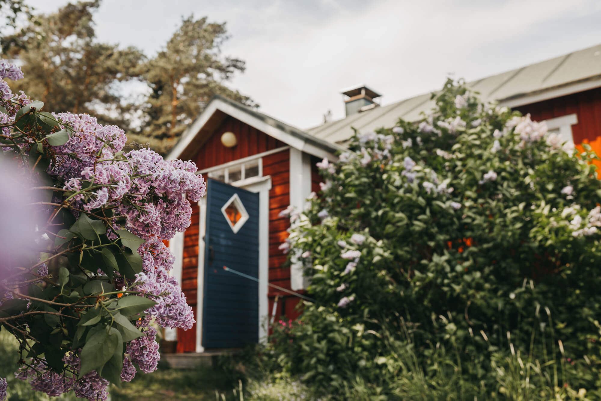 Front of a cottage 