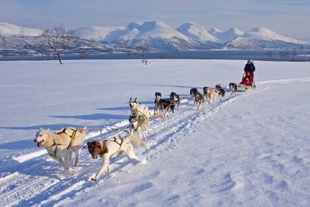 © Baard-Loeken_www.nordnorge.com