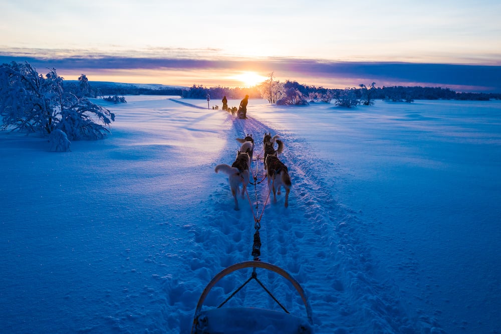 Husky Tour in Finnland