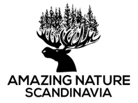 Amazin nature scandinavia logo