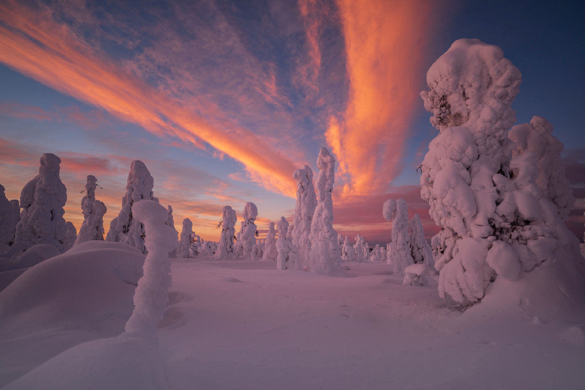 Winter in Schwedisch Lappland © Swedish Lapland Visitors Board - Håkan Stenlund