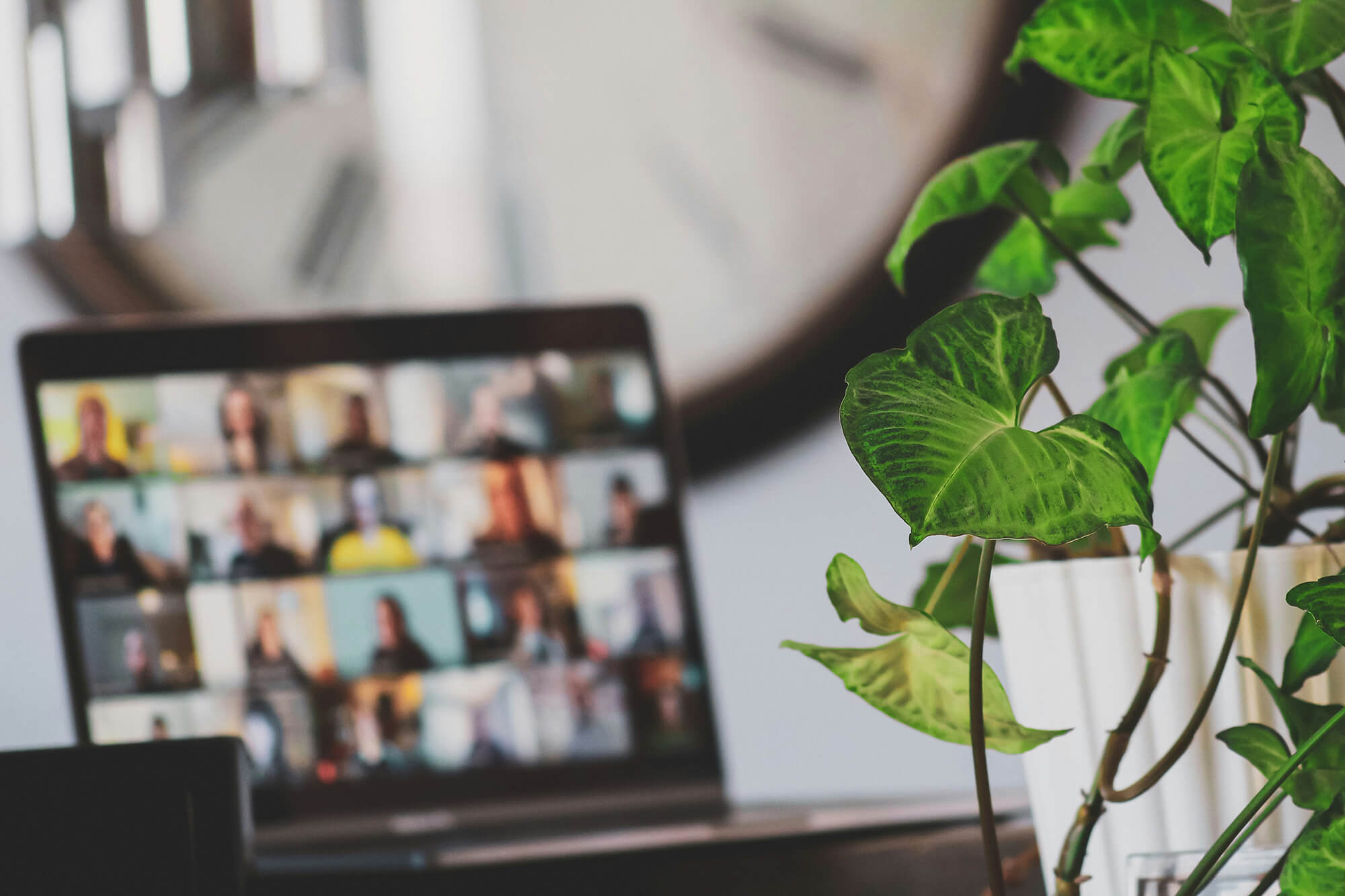 online experiences_laptop zoom_by rivage - unsplash