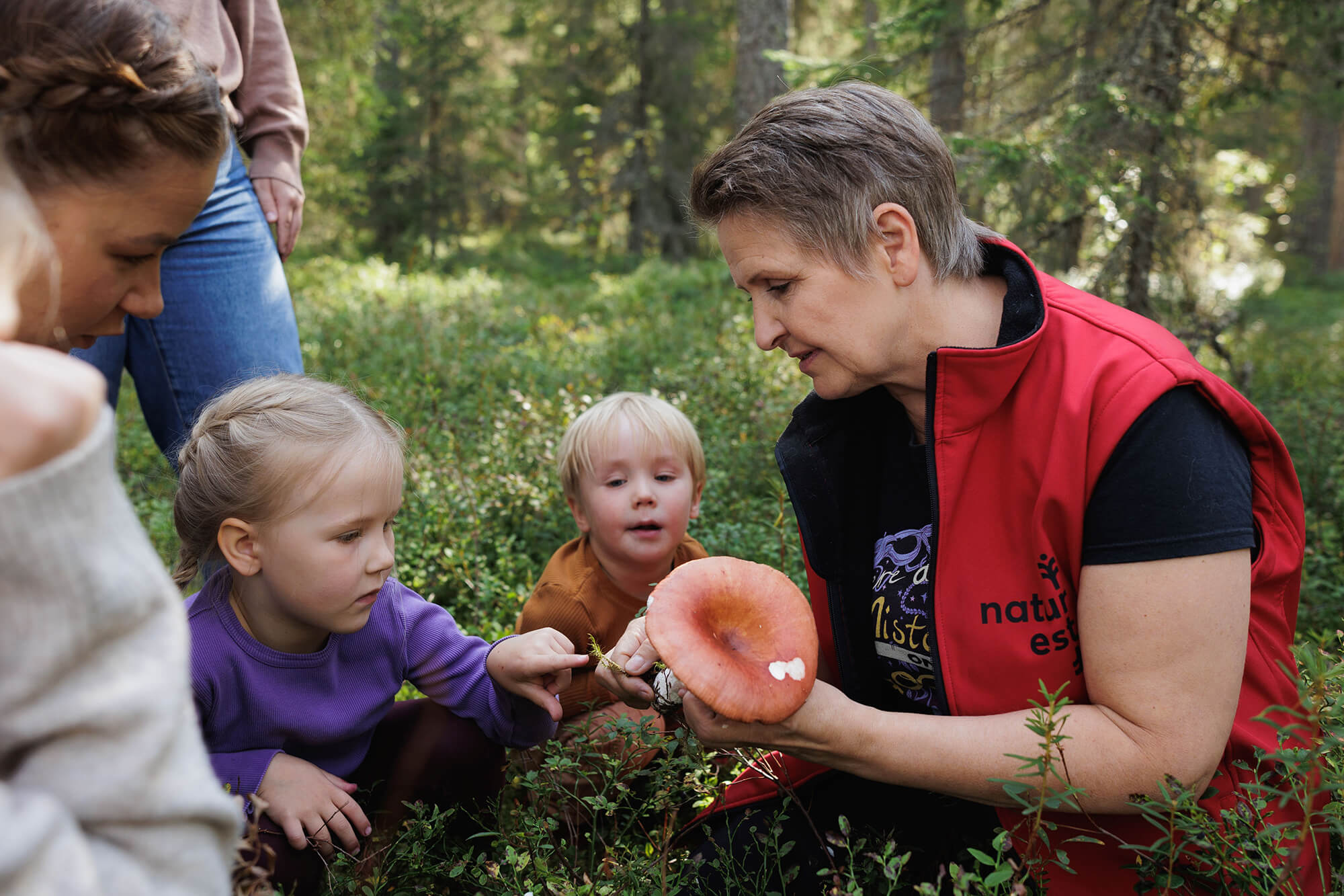 Naturest by Photografer Atte Männikkö