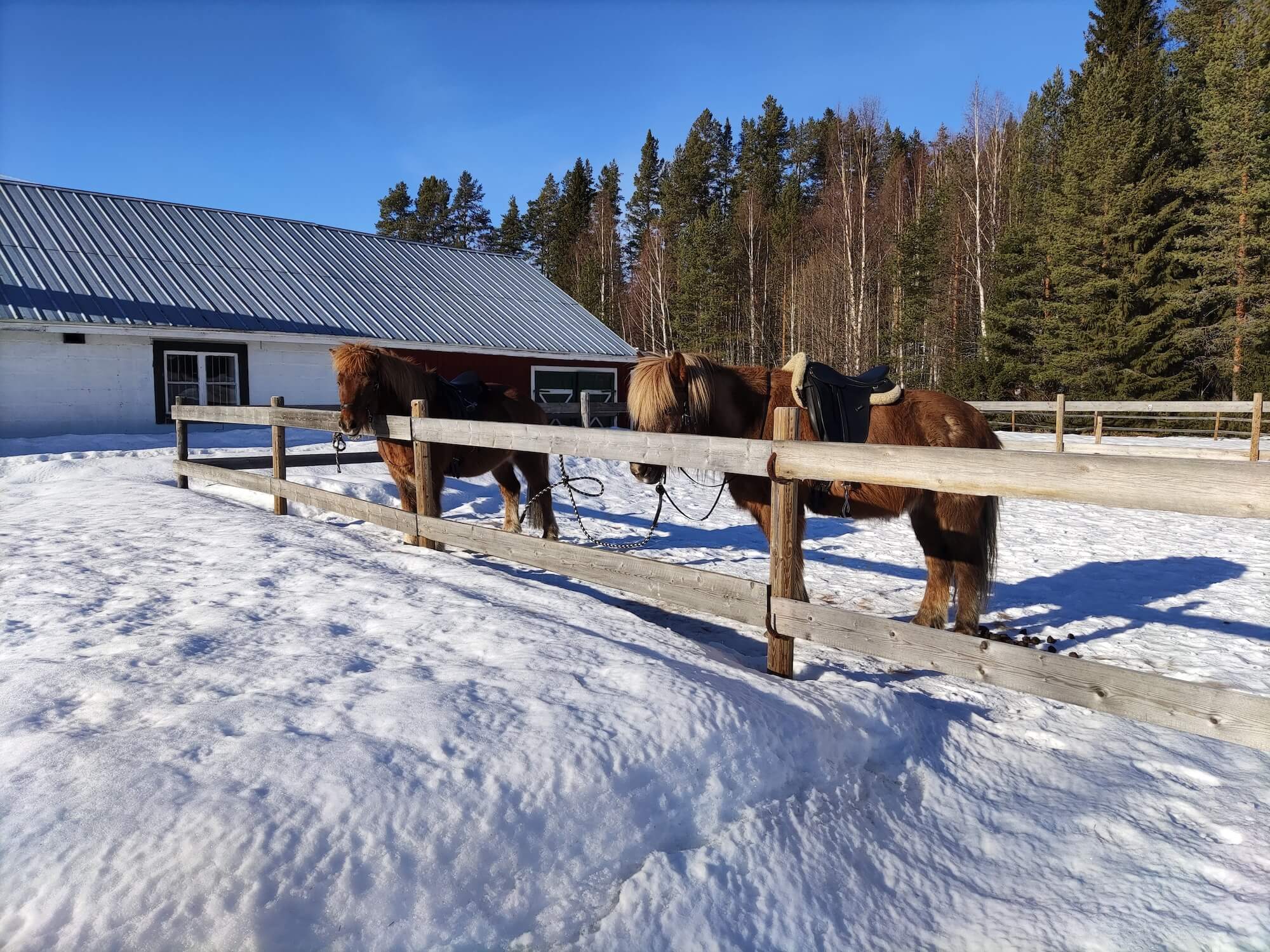 Västerbotten_FAM_2024_Lycksele_2000x1500_0000012