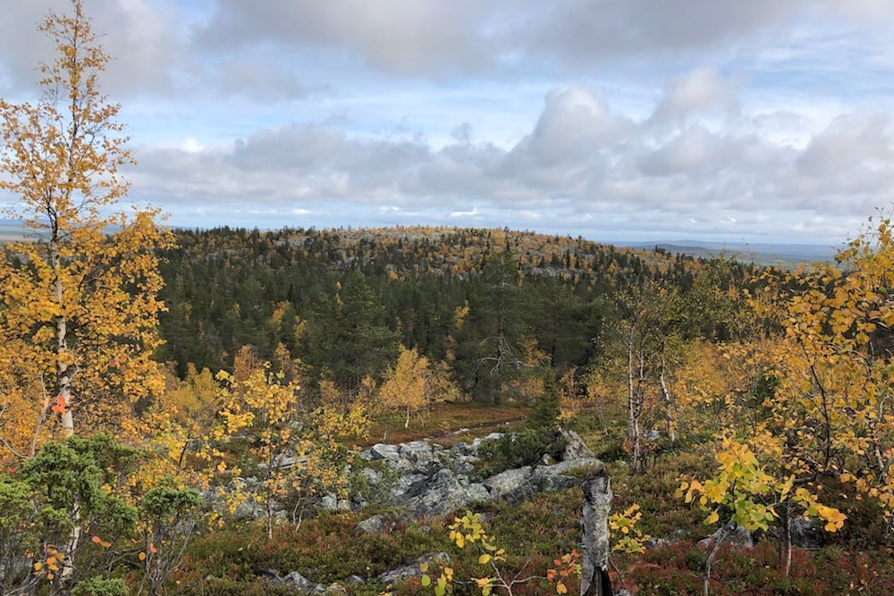 #NordicNews-Finnland-22072020