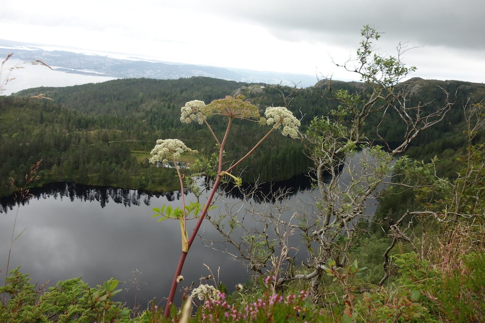 #NordicNews-Norwegen-14012022