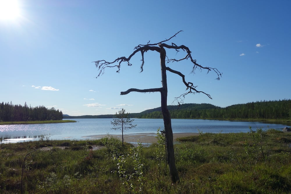 #NordicNews-Reisebranche-07092020