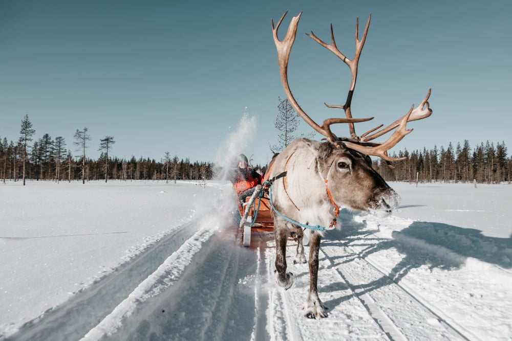 #NordicNews_Finnland_04032021