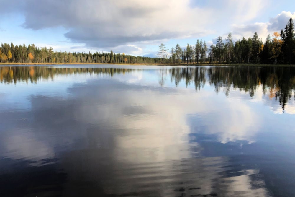 #NordicNews_Finnland_20112020