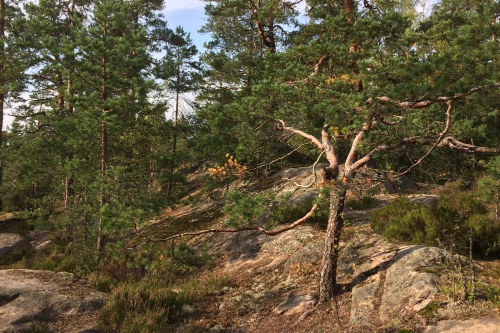 #NordicNews_Finnland_23042021