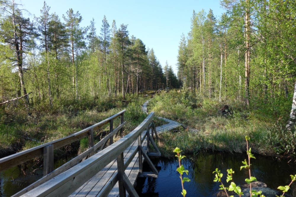 #NordicNews_Reisebranche_14122020.JPG