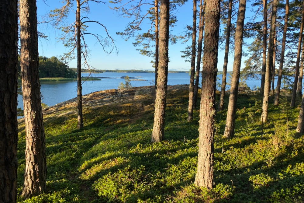 #NordicNews_Unterkünfte_11062021