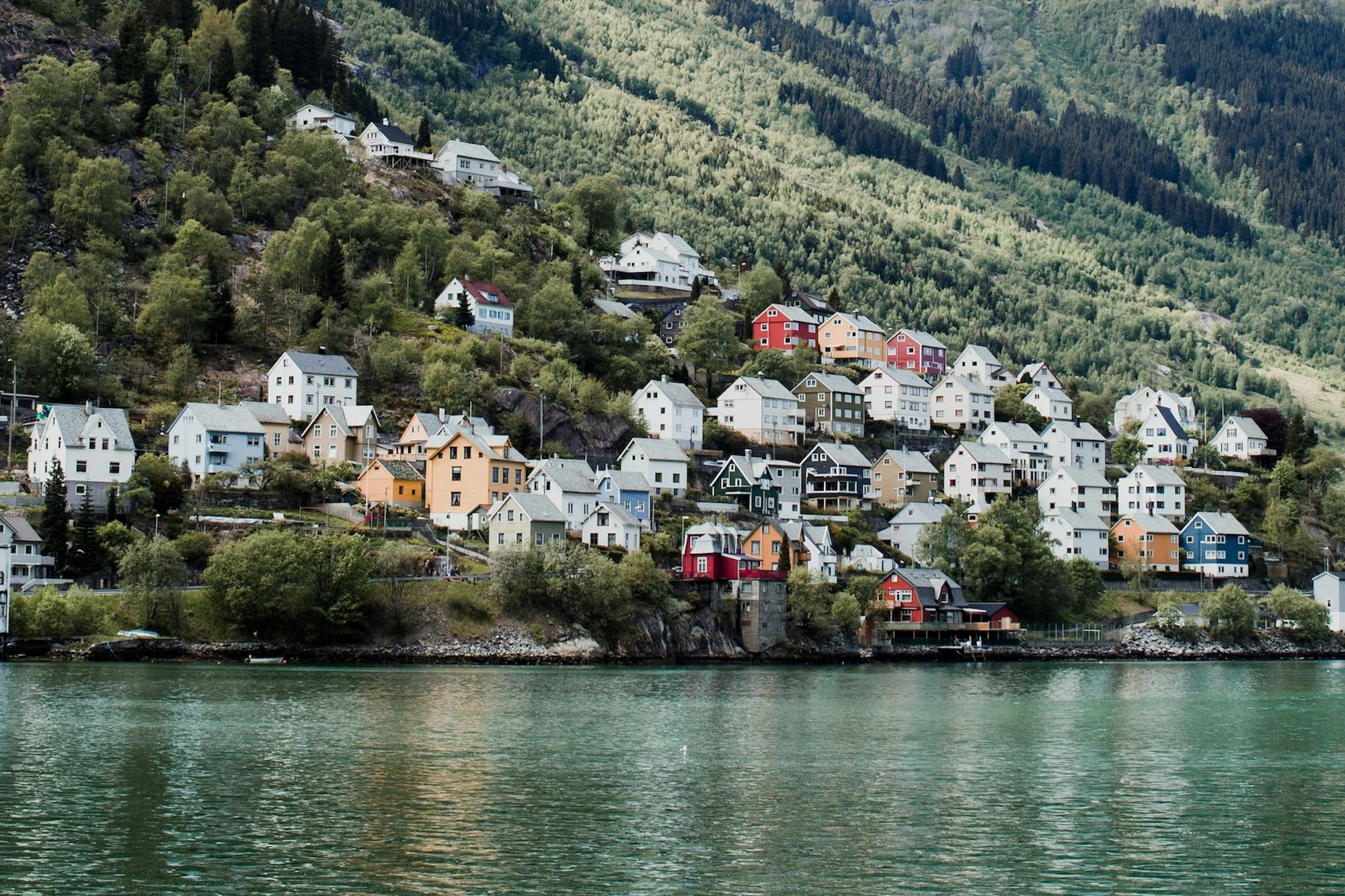 NordicCommunity Day_Norway©Millie Olsen_Unsplash