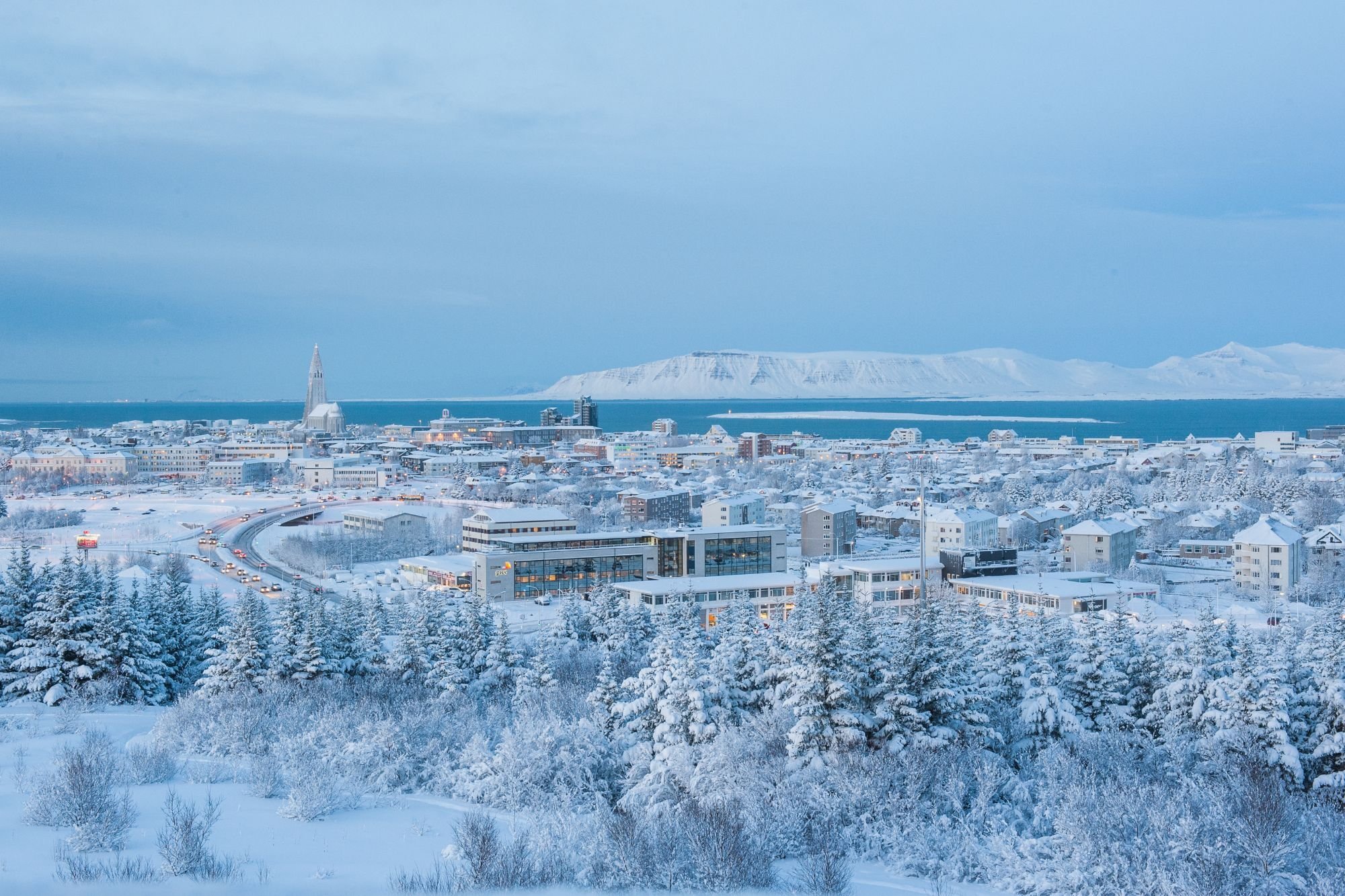 NordicNews_09072026-Reykjavik Iceland-Petra Schneider  Getty Images