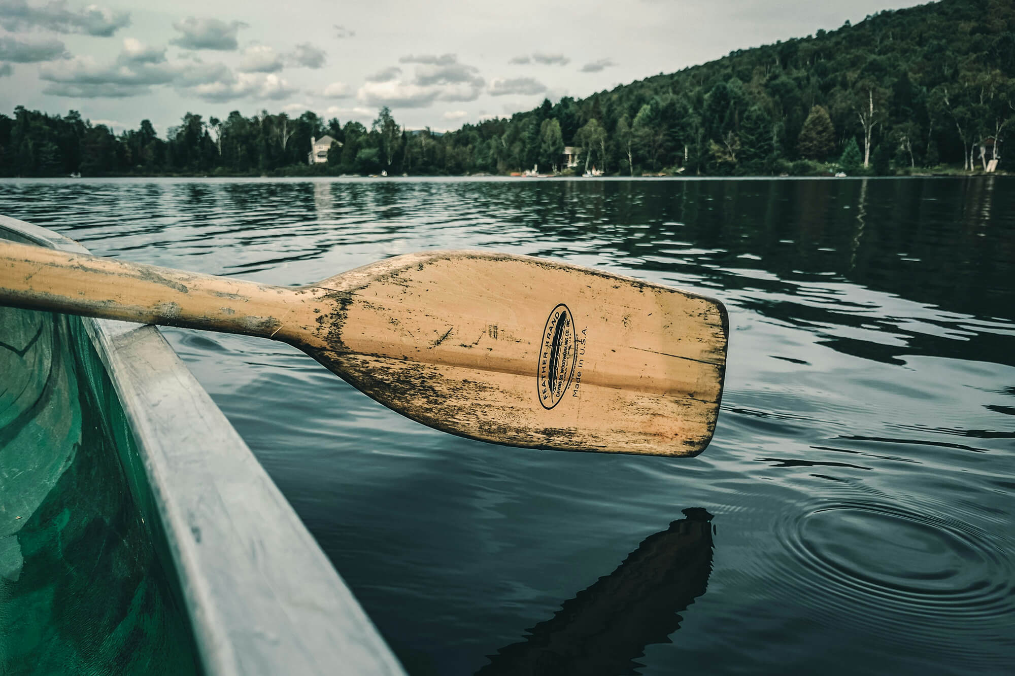 sustainability_ by ali kazal unsplash
