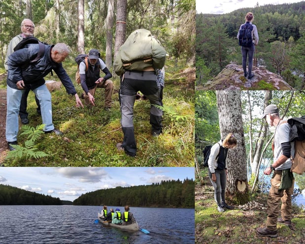 Sörmland FAM Blog_Collage_1