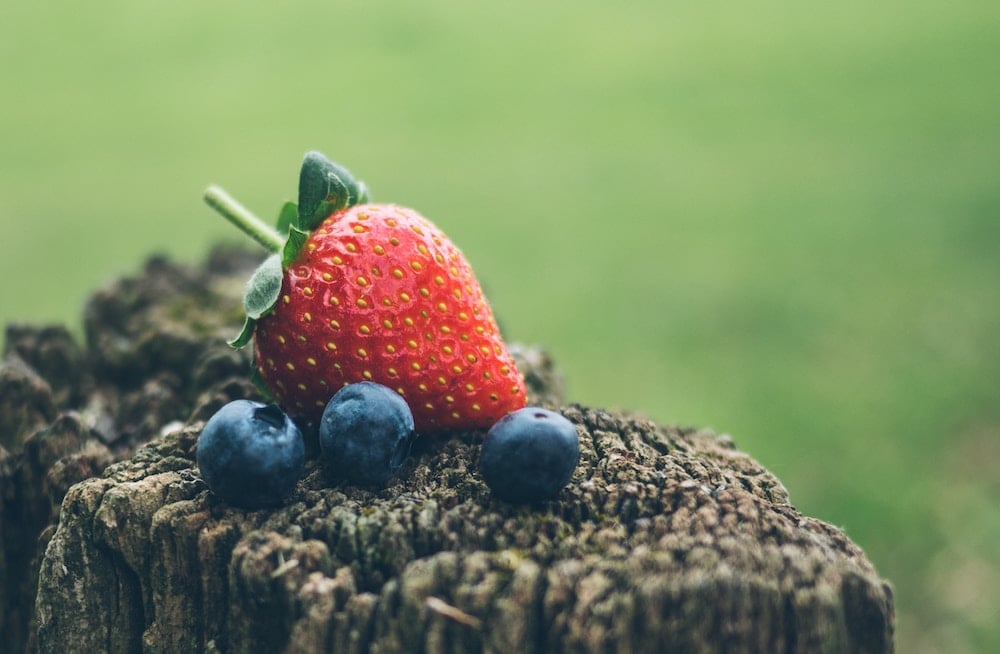 Beeren_Jedermannsrecht_Photo by Jamie Street on Unsplash