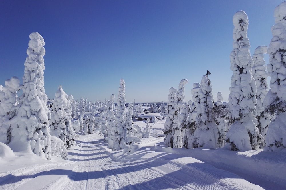 #NordicNews MåntagsNews 07 Dezember 2018
