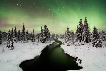 Nordlichter in Schweden