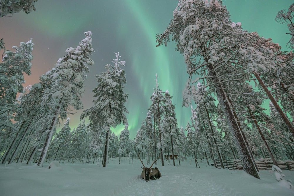 #NordicStories Levi 3