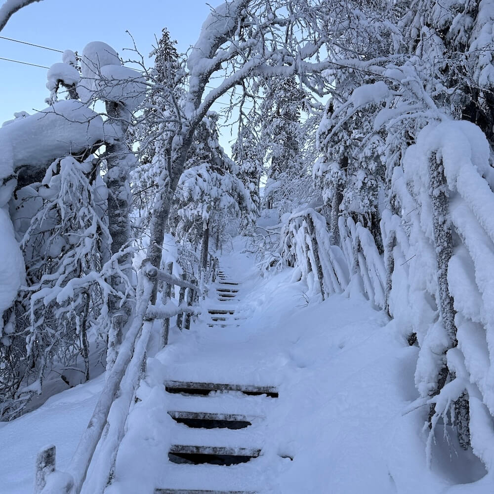 Levi Workation Schnee © Pieper Erlebnisreisen _ Britta Pieper