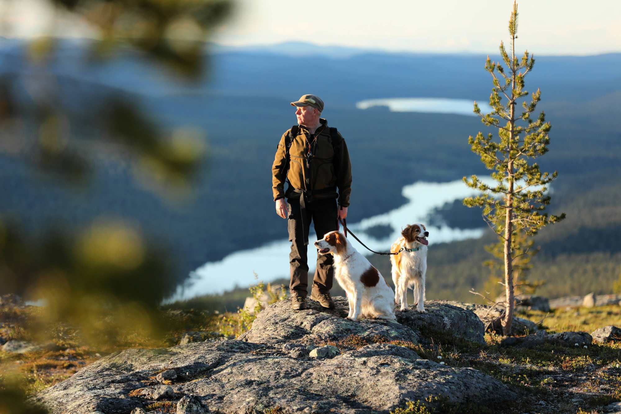 Visit Finland-Enontekio-Lemmenjoki_Nationalpark_dog_Lemmenjoki-copyright HarriTarvainen