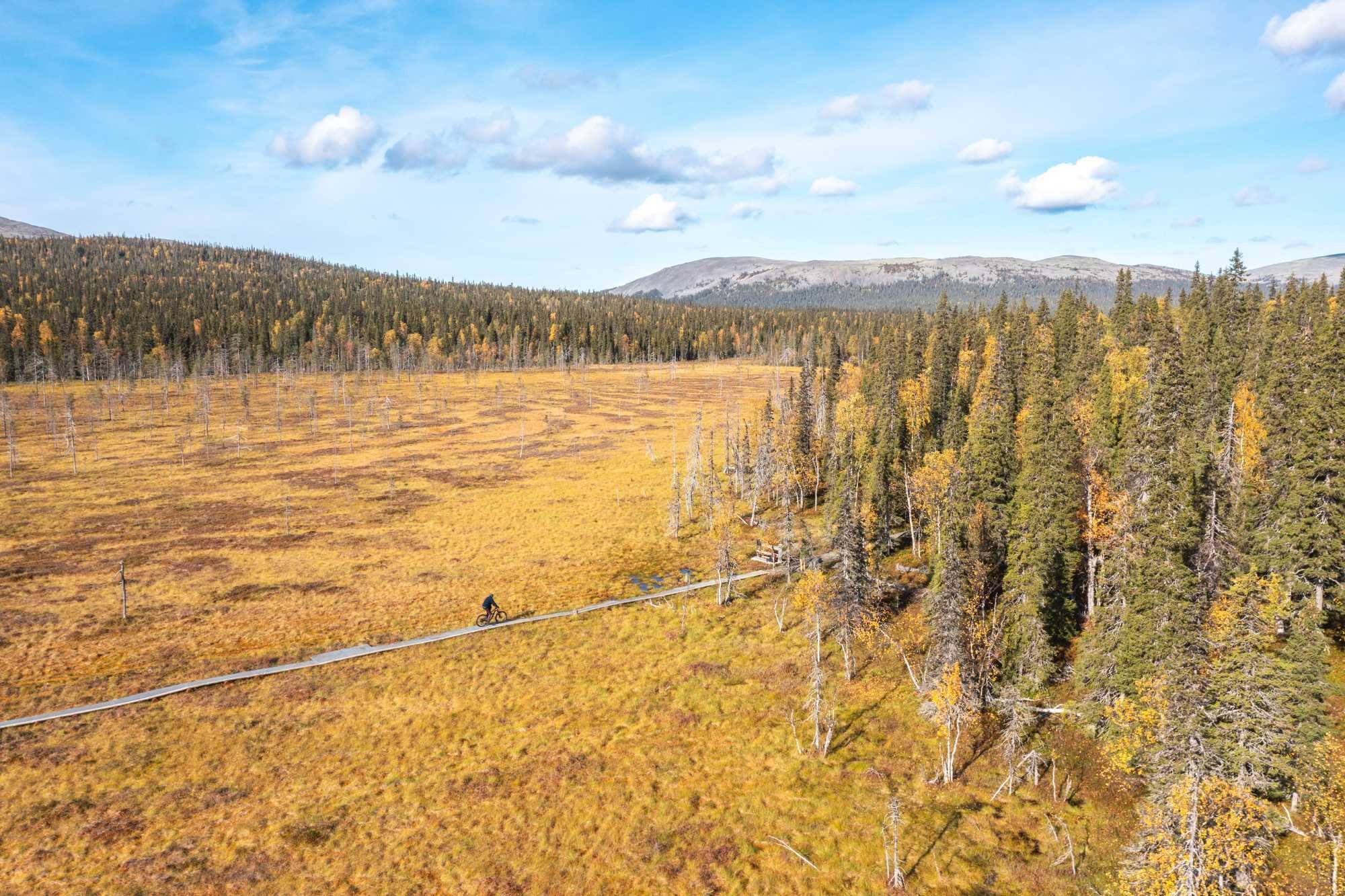 Yllas colours of the fall mountain biking Ojanlatva trail Eetu Leikas