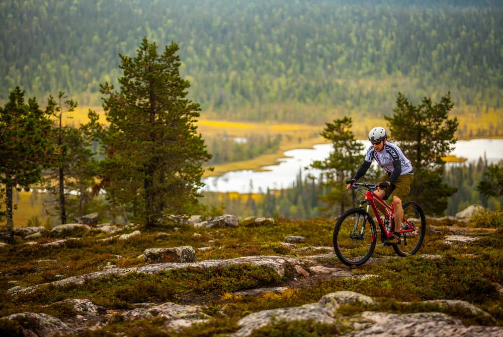 Salla-Mountainbike