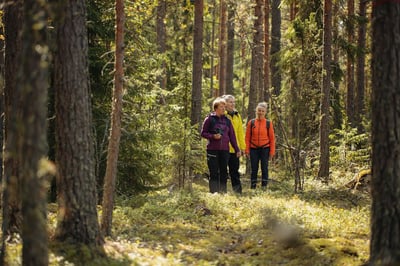 Visit Lahti_Best Lake Nature Adventures_hiking tour