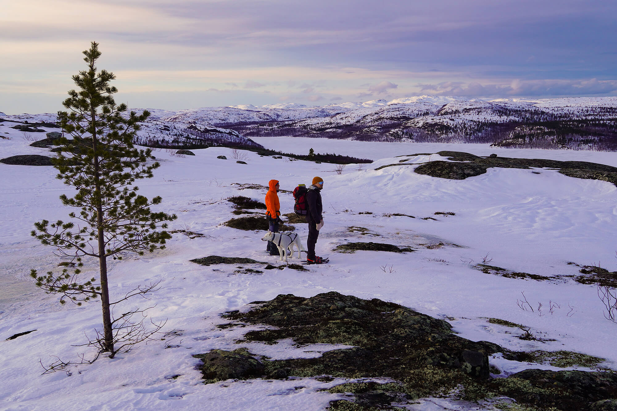 Kirkenes Tours AS_Russian Border Snowshoe Hike