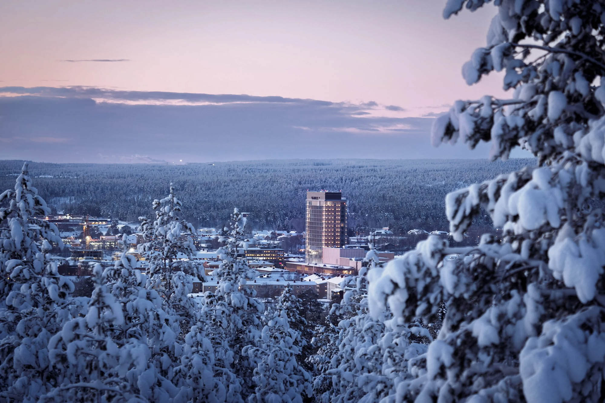 The-Wood-hotel-winter-forest-view-scaled