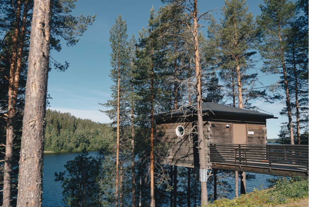 Granö Beckasin-Vogelnest