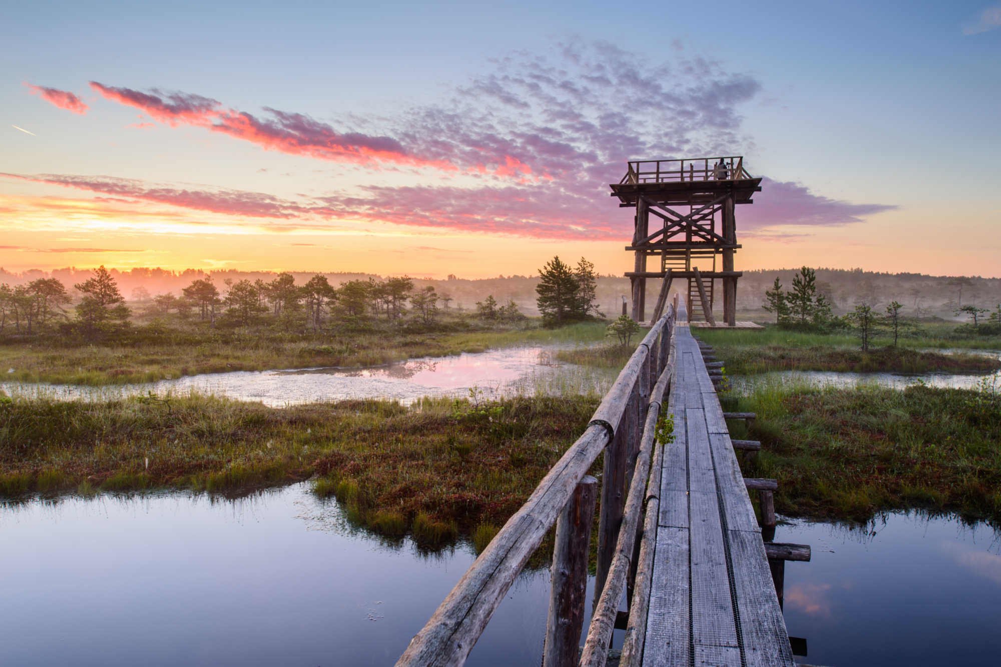 Visit Estonia-magical-bog-road-and-sunset-copyright Sven Zacek