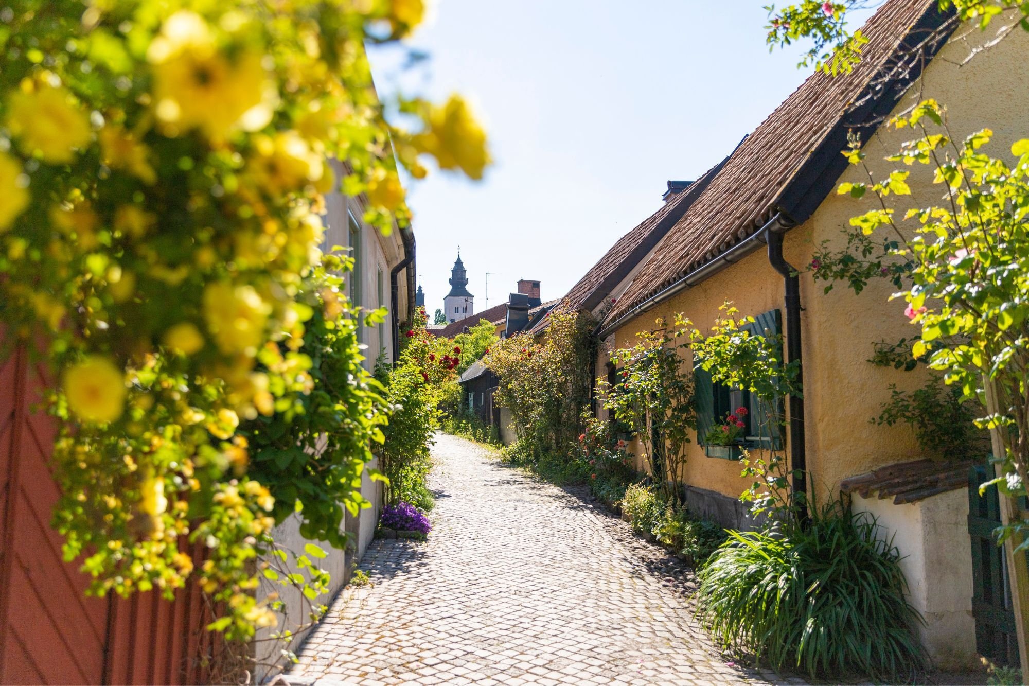 Gotland-Gasse