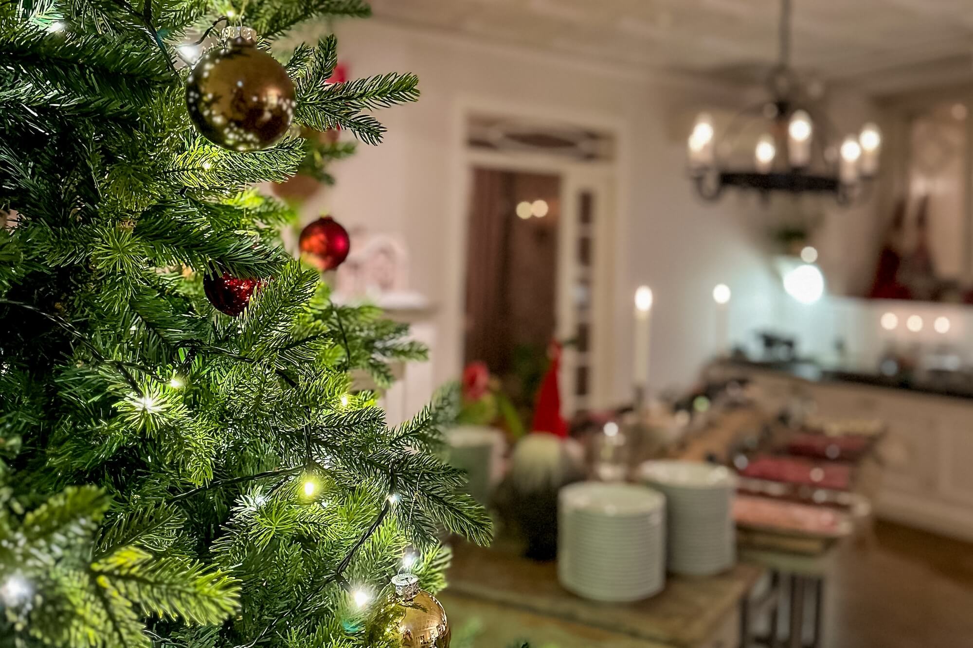 Stua_winter_FAM_2024_Jul_pa_Basenberga