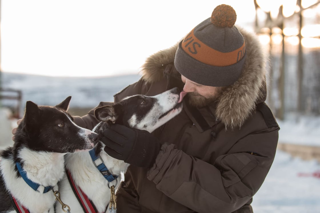 Kiruna Husky Home Achtsamkeitstraining