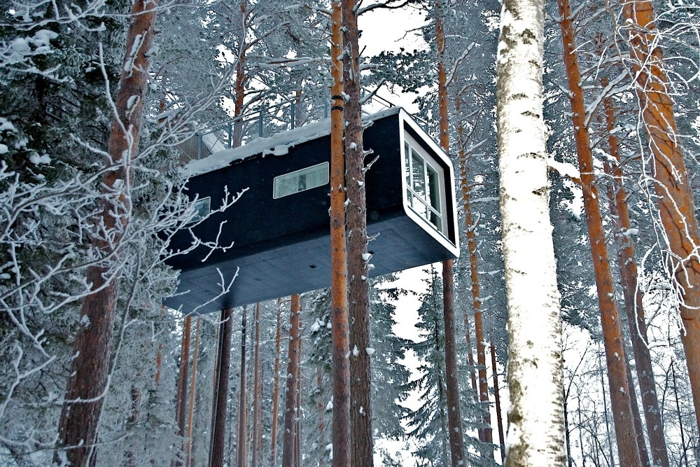 TreeHotel