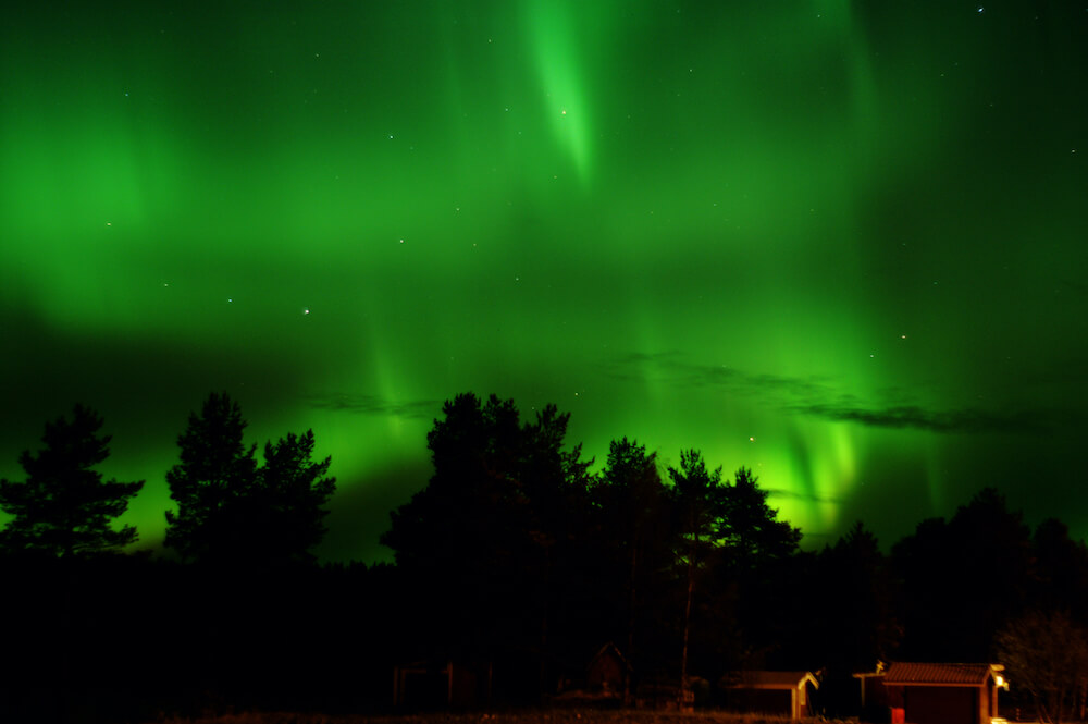 Umeå - Aurora Borealis - Nordlicht Pre-Winter Tour