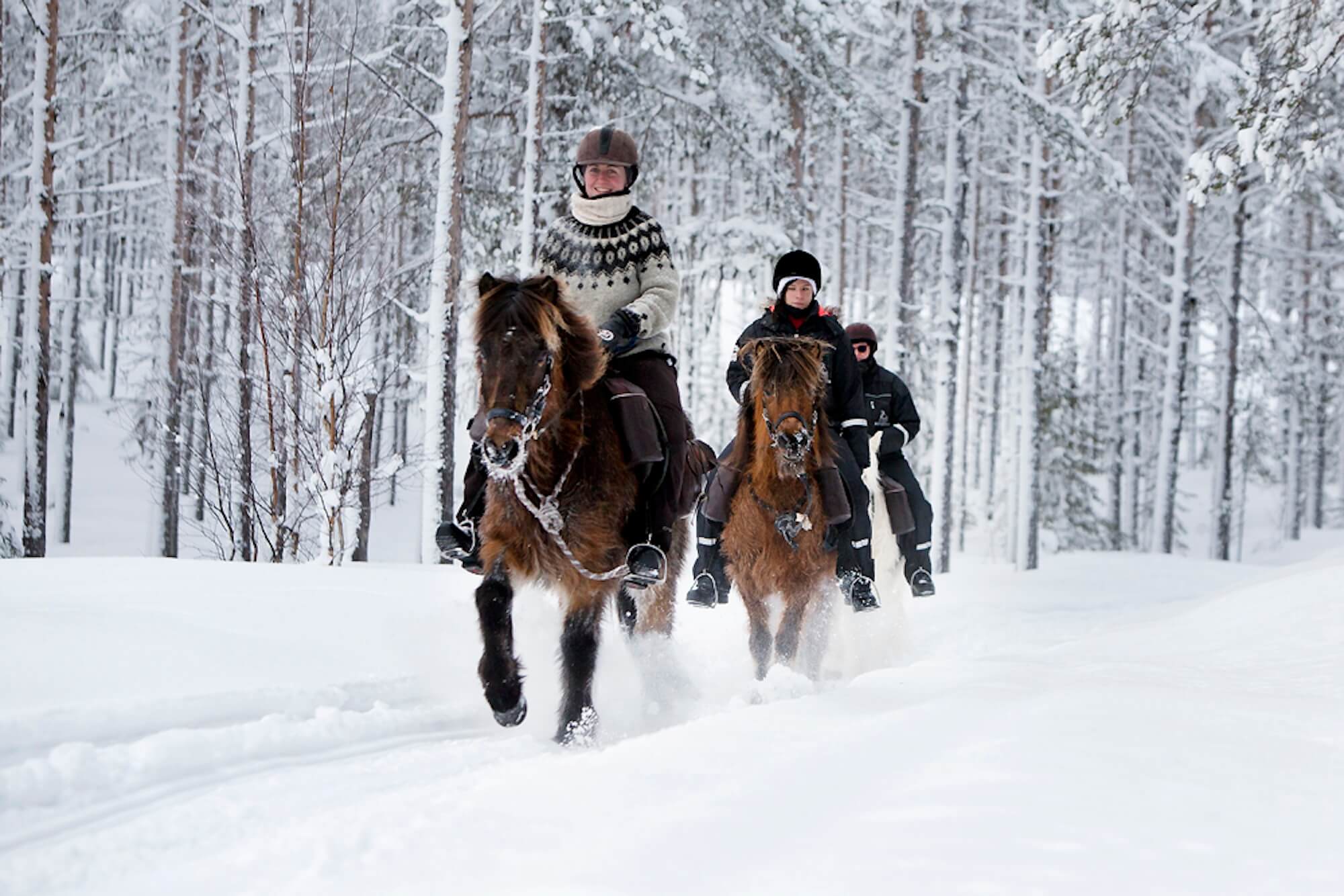 Västerbotten_Sweden_HORSES OF TAIGA Winter group - Rianne Kindt