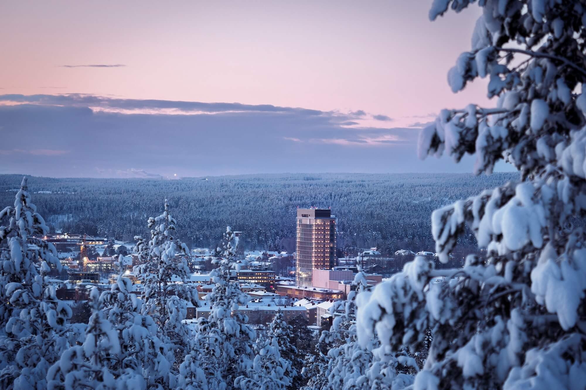 Västerbotten_Sweden_The Wood Hotel_2