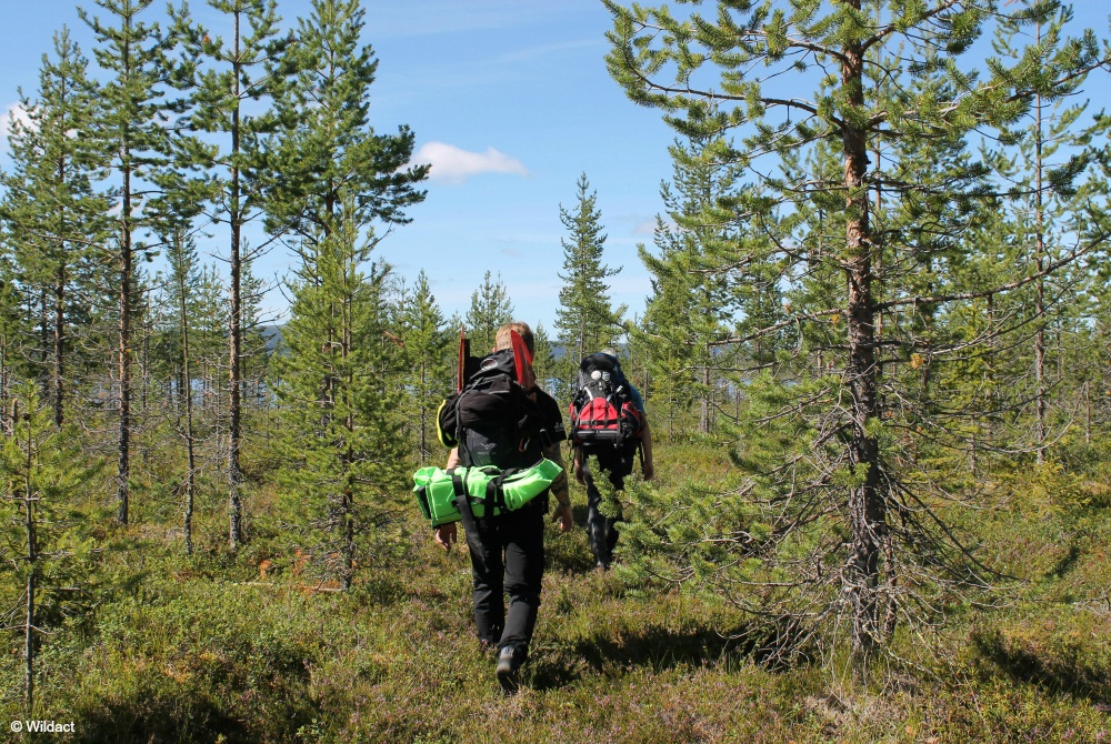 Wildact Adventure Packrafting