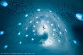 ICEHOTEL-Show Me What You Got Tjasa Gusfors, David Andren -Photo - Asaf Kliger